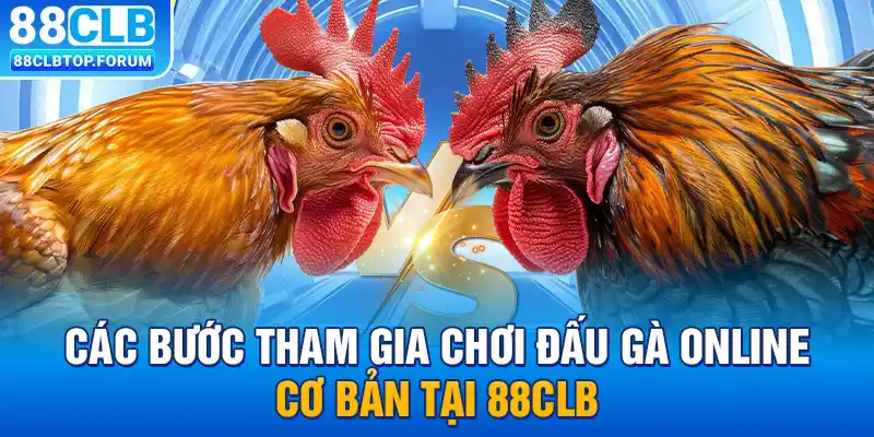 Các bước tham gia chơi đấu gà online cơ bản tại 88clb