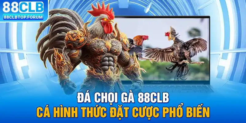 Đá chọi gà 88clb - Cá hình thức đặt cược phổ biến