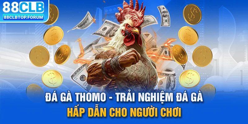 Đá Gà Thomo – Trải Nghiệm Đá Gà Hấp Dẫn Cho Người Chơi