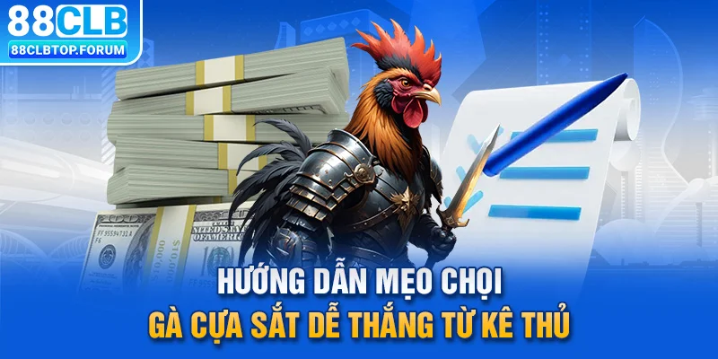 Hướng dẫn mẹo chọi gà cựa sắt dễ thắng từ kê thủ