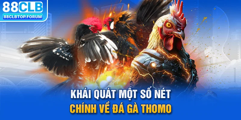 Khái quát một số nét chính về đá gà Thomo