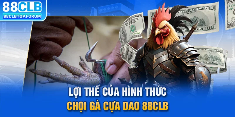 Lợi thế của hình thức chọi gà cựa dao 88CLB