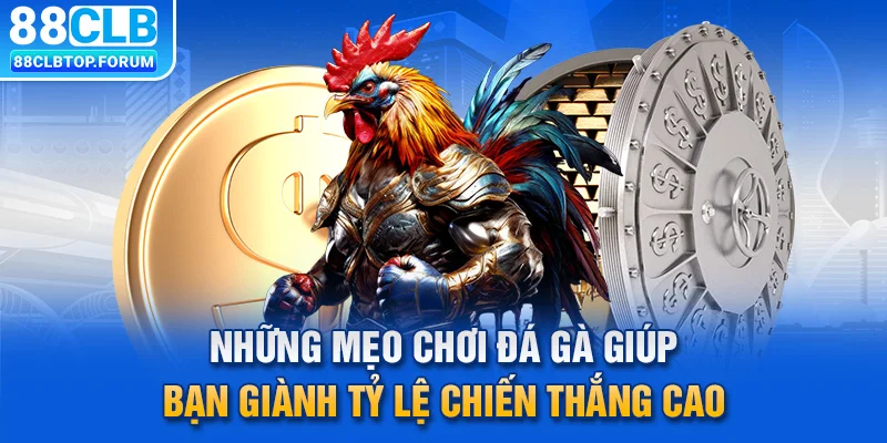 Những mẹo chơi đá gà giúp bạn giành tỷ lệ chiến thắng cao